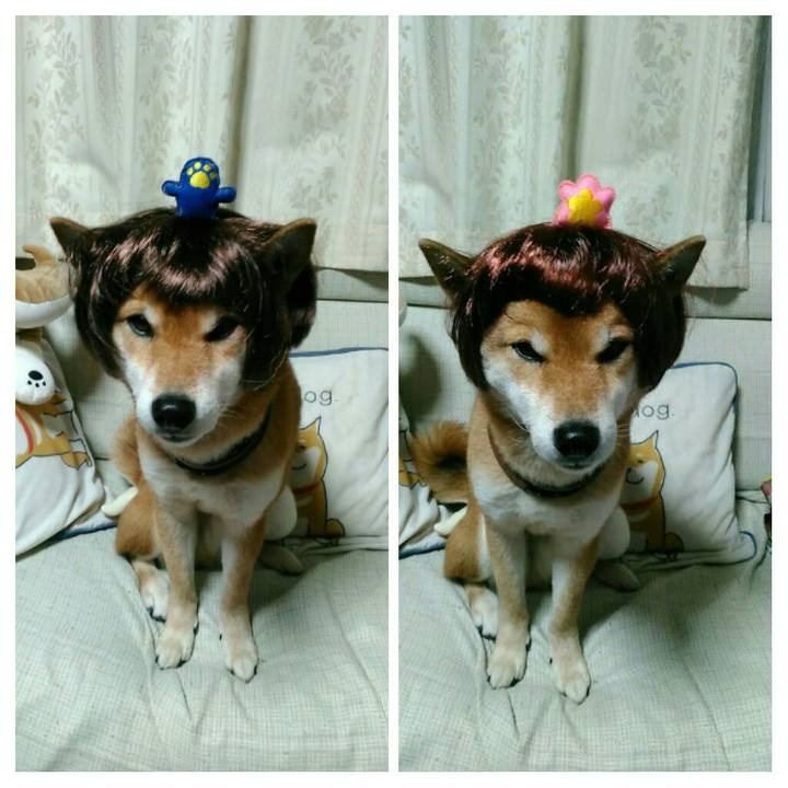 B4b2bbaa 7c1c 4f51 ae25 20bd77100775 1549619850336