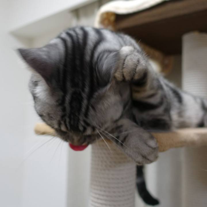 B4b2d6ef e6df 45b1 9be4 7affcea82156 1561639490817