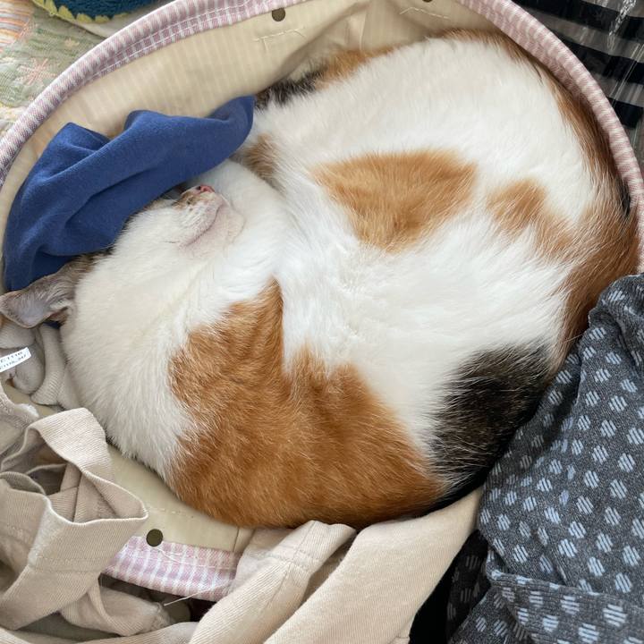 B4b2d967 a51b 41e3 84ba 58aa611b384e 1661570898309