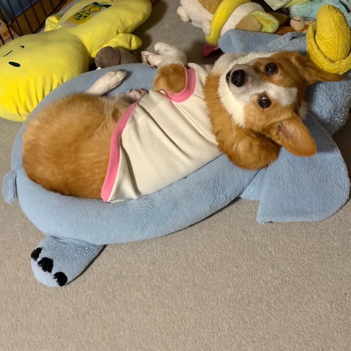 B4b31d17 7f5a 4e9b 9ad5 ae0ae335be84 1772321544744