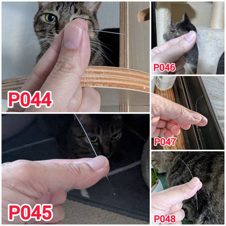 B4b32d44 b1f9 4065 a74c fe4649885010 1765534625324