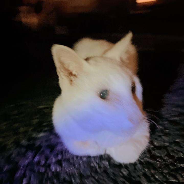 B4b33c69 3acf 427d b6c0 00fdd74710cc 1660890517216