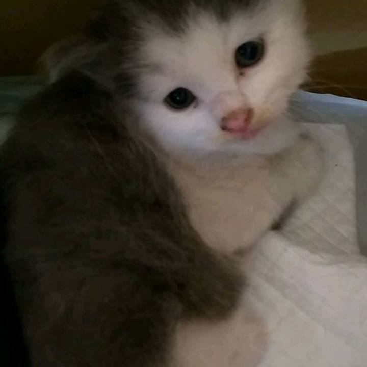 B4b378f7 9142 4ee4 bed9 979529febee9 1624847558233