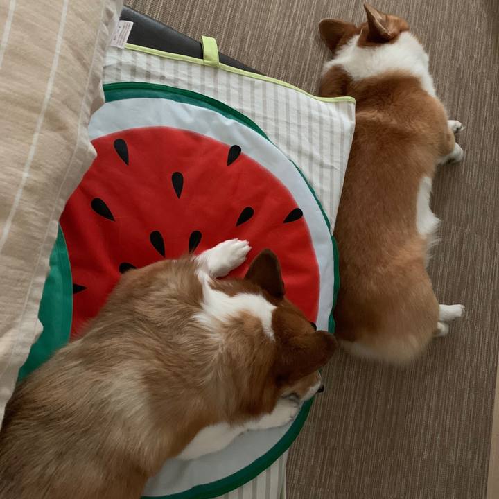 B4b3f06f 879c 44f3 8e9d 1b426dbe8f3b 1565853838451