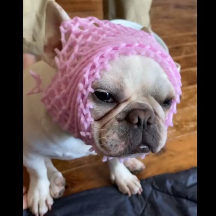 B4b41453 0145 42d5 ac6e ad9eacdbb461 1689668128601