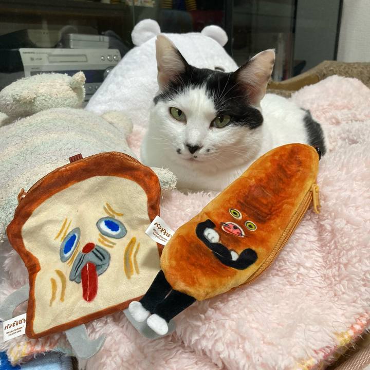 B4b424d1 6b0d 4dee b579 95ee36b60076 1763819065348