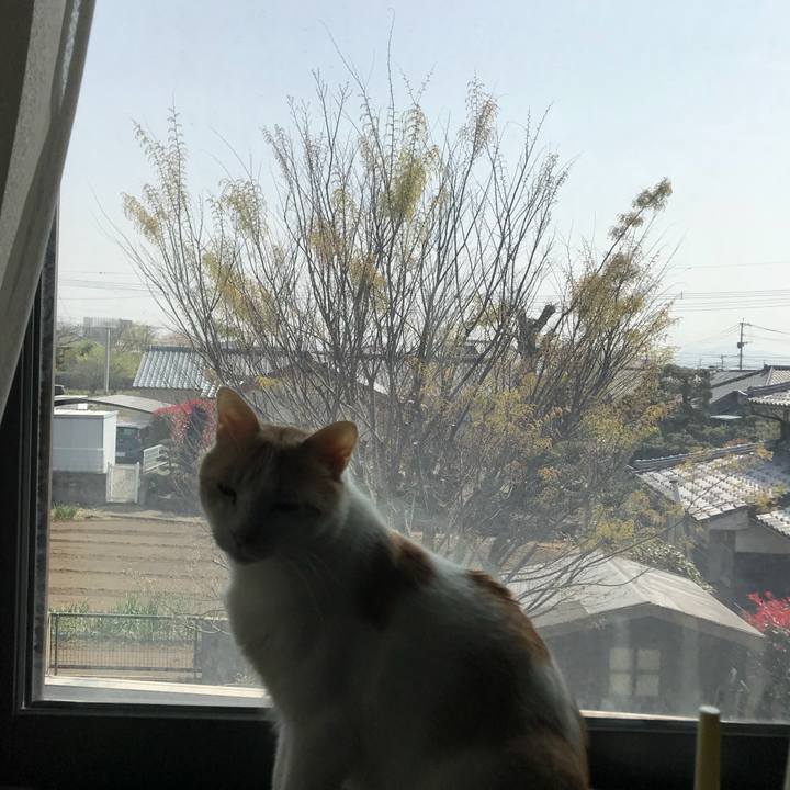 B4b445c9 d467 40f0 97ae 742cf9e2e9ba 1522386522299