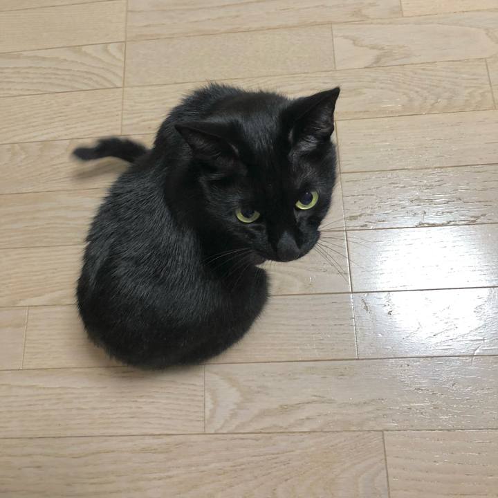 B4b4838a f6c9 4615 901b a7cc7e78210e 1634911985293