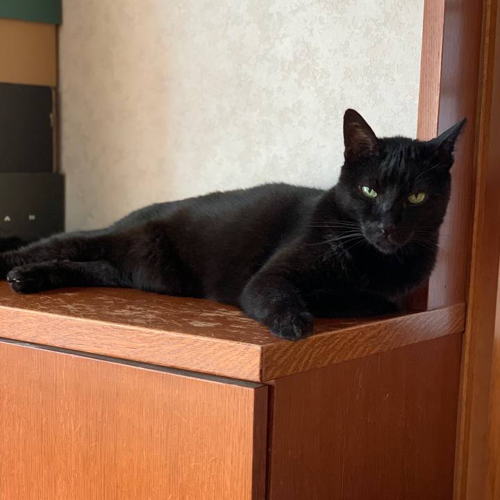 B4b491b4 1d8d 42a9 a550 e3bddb00d1a8 1599614830413