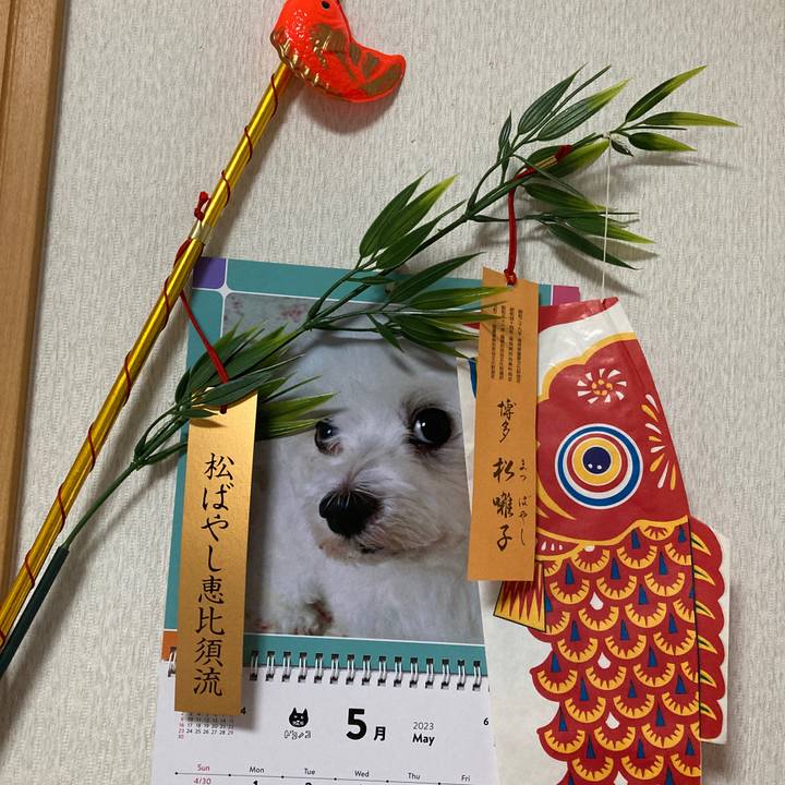 B4b4ab01 4b1c 4a63 add8 b69c51cc9357 1683126384348