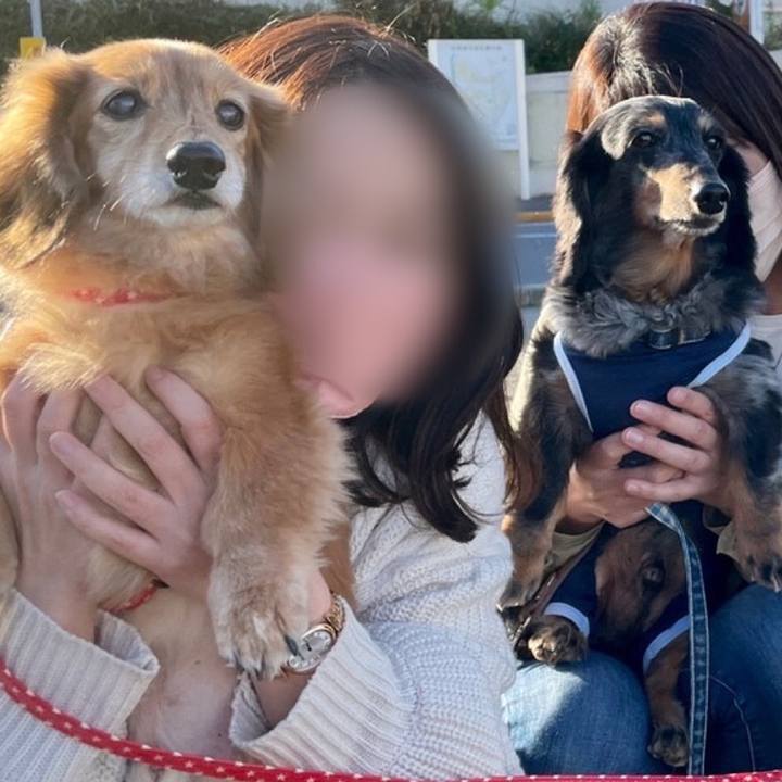 B4b4ada4 5499 4e6a 8b76 0bc0a82a4928 1634995745380