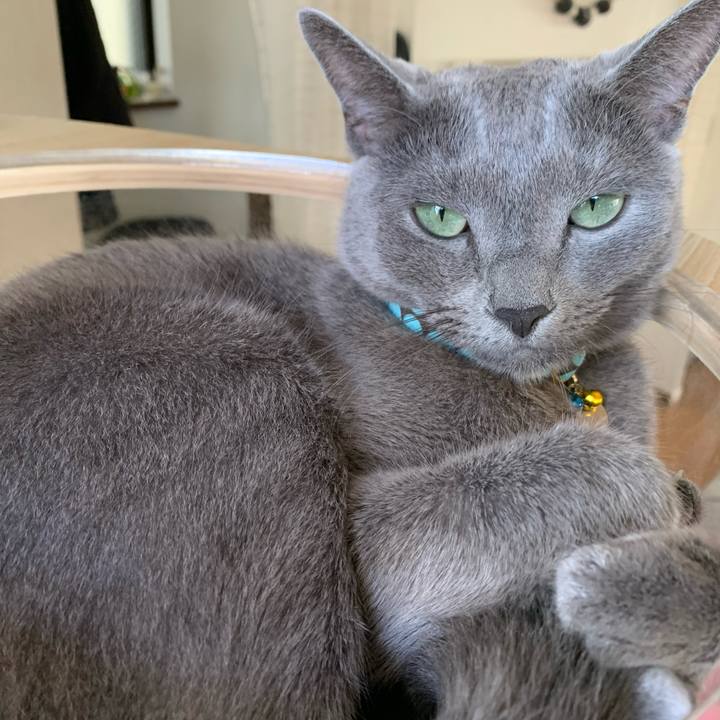 B4b4dc1f b50c 43df a0b8 3f2055b23f4e 1632359947460