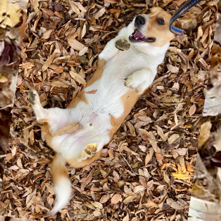 B4b4f30b 53dd 40bb bb3c 7beb126b466a 1640224800253