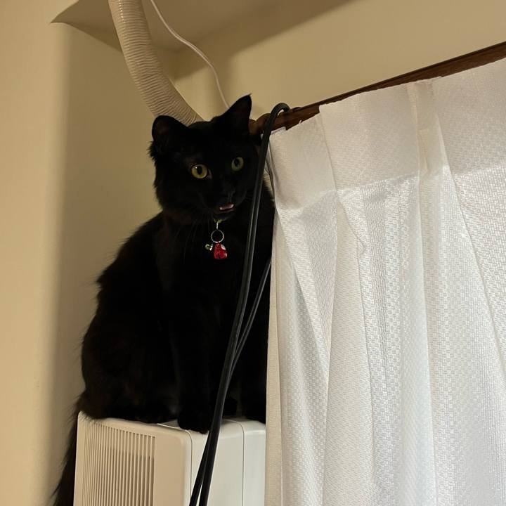 B4b506d3 7a84 43f3 85af 028b557d3390 1762814896661