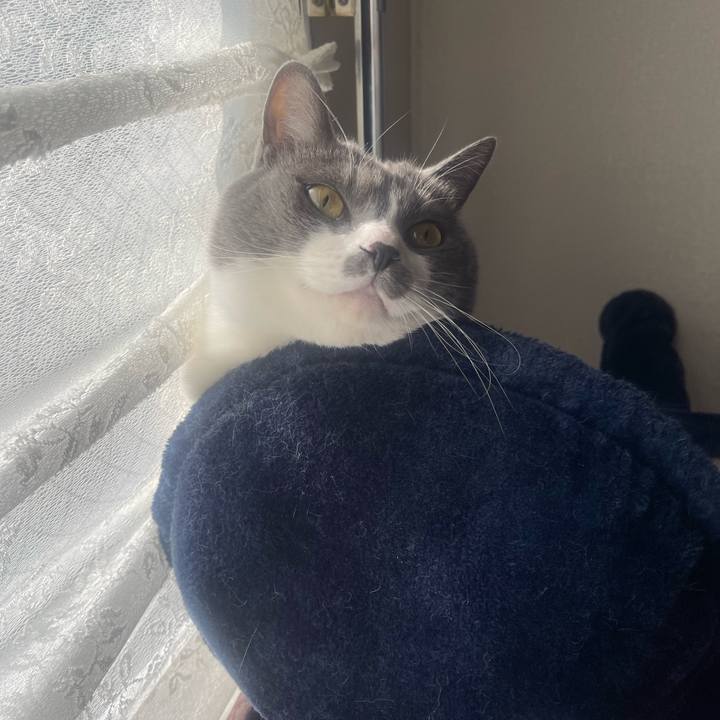 B4b523e7 0f8c 4bb2 b539 3b5a6196191f 1705276605809