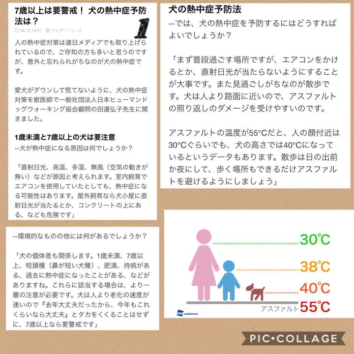 B4b54204 2392 44f0 995d 874b9e2569be 1534176913583