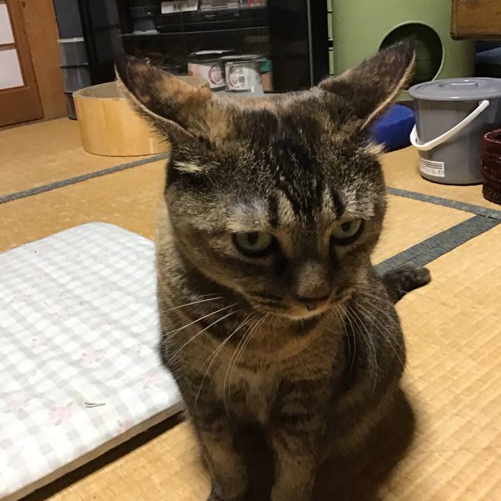 B4b58b1e c686 4314 bc3d f17d95042187 1756891247179