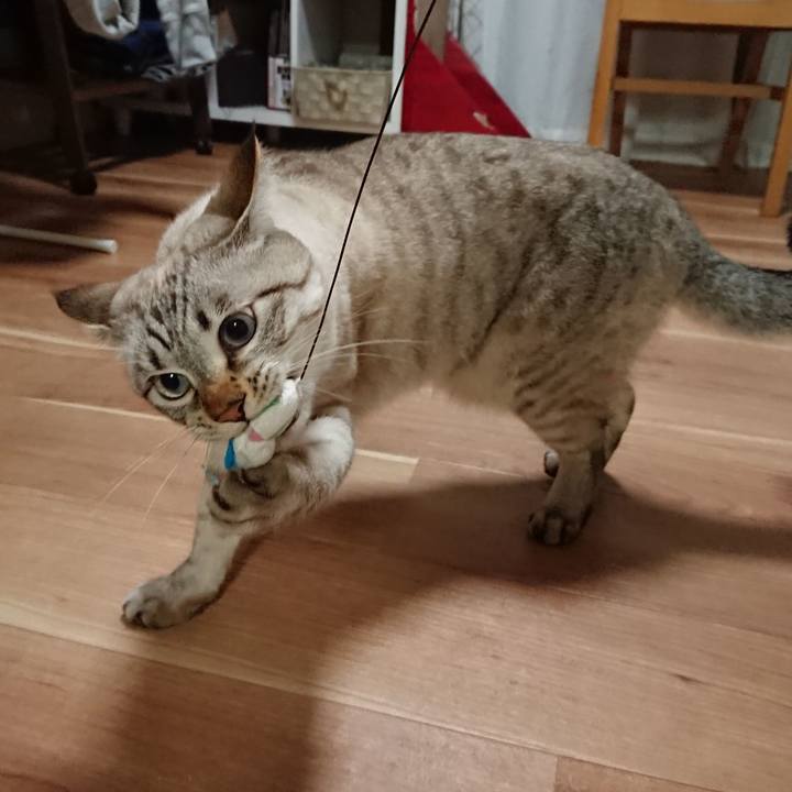 B4b59e7d 5846 49d7 a61a 57eaa59a8706 1542626830575