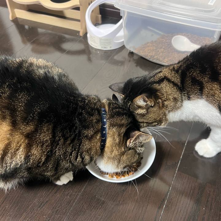 B4b5aad5 8d80 457d 9197 9cdeafeed100 1768642956124