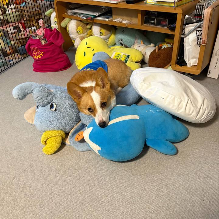 B4b5ad91 9b3e 4a57 a06c 077375955169 1771845095104