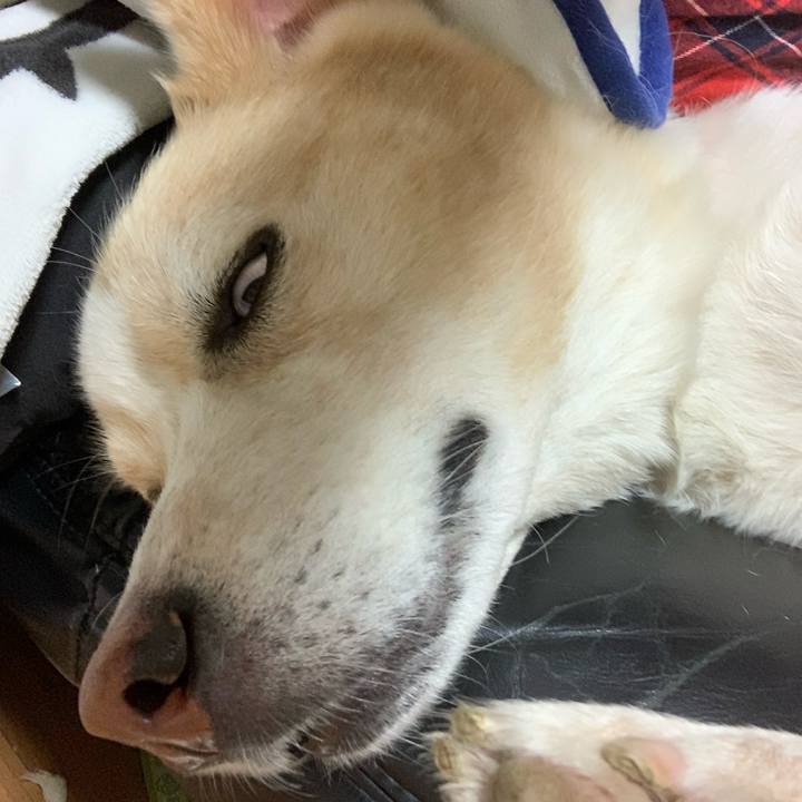 B4b5d513 429c 43d5 a88d 5f98b896da1d 1607172074427