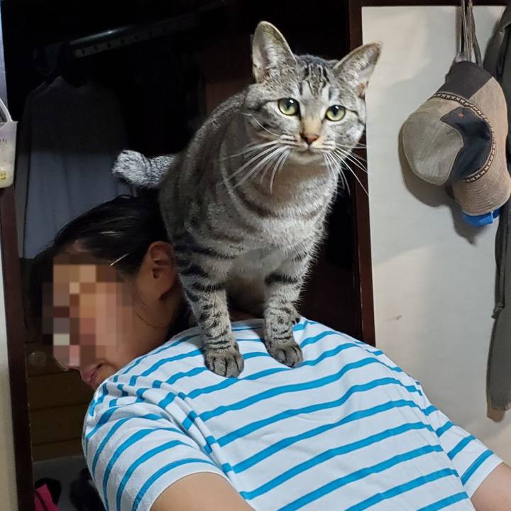 B4b5f552 a216 4555 930d b4c3473820f0 1697125838333