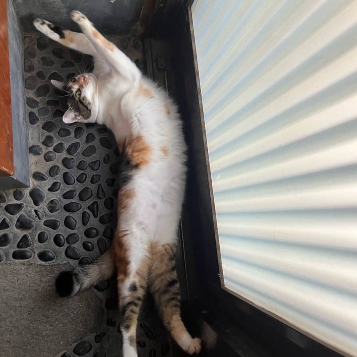 B4b5ff46 7e7f 4259 9331 5c610264e8ac 1759890368111