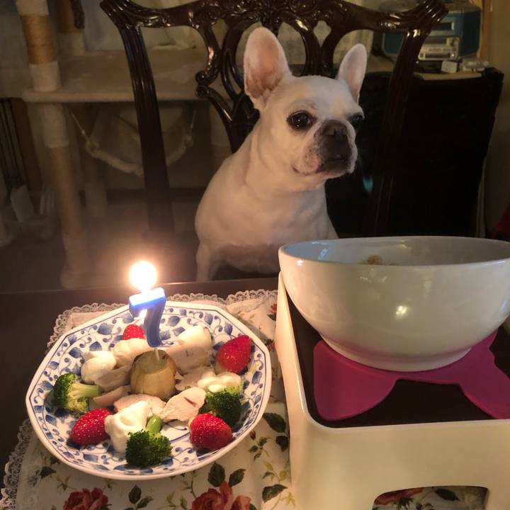 B4b60d17 7fc4 4d85 b7db 27d7342eeeda 1669024183943