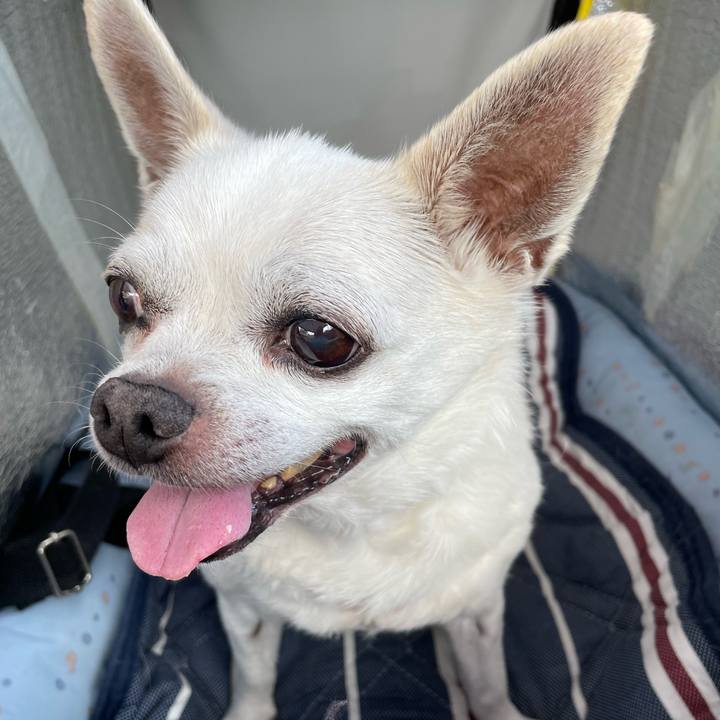 B4b63b2d cbea 4078 98a8 670ba1f5a01e 1693460646536