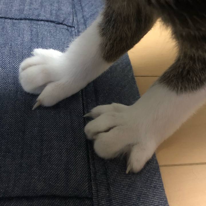 B4b666bf 4969 4a4f 9ff1 da86186da1f6 1600094203512