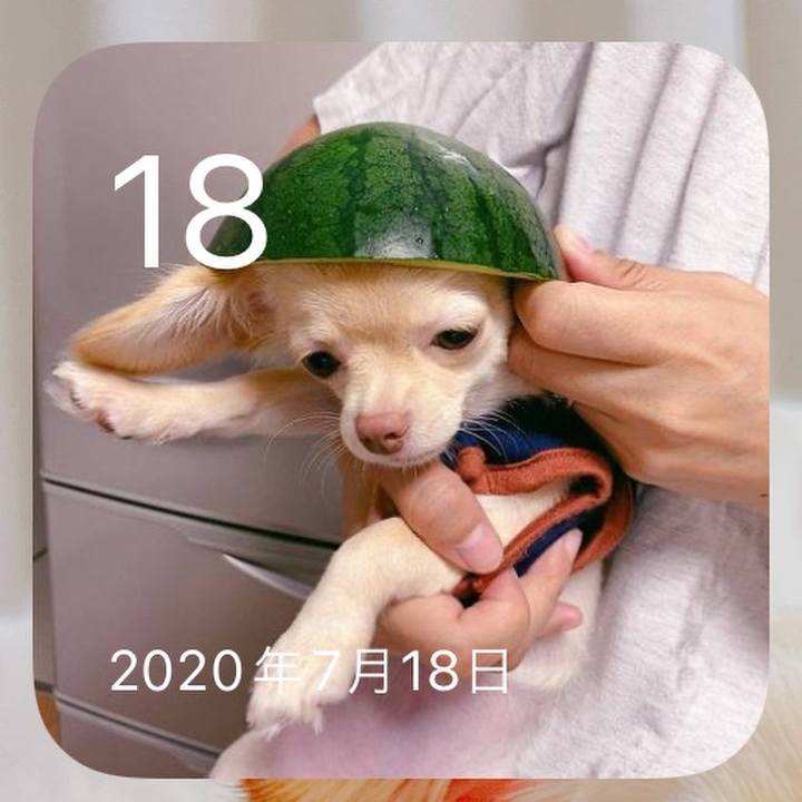 B4b67398 2669 4c75 8ead 56c06245e9f4 1658148375108