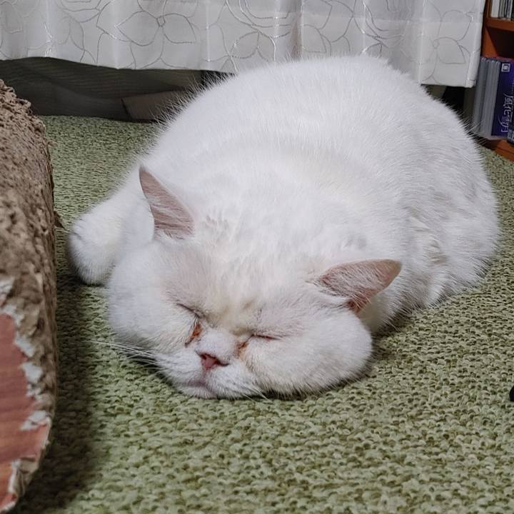 B4b675d8 cd32 44cd af98 4e0c089bb1fc 1760875714166