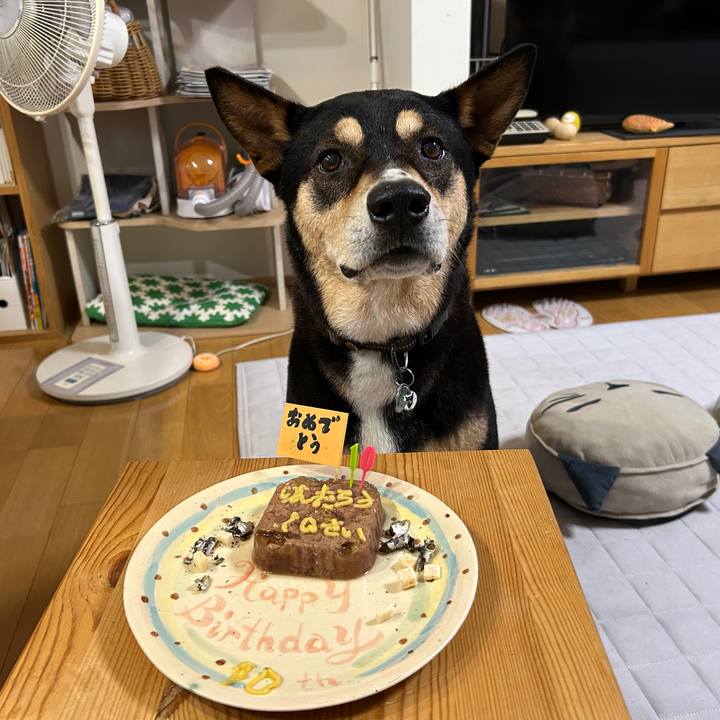 B4b6a40e dc9b 4088 a9f1 a542d3458841 1752408212583