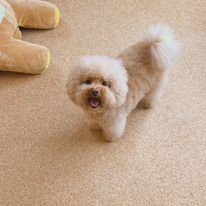 B4b6f8d0 a4e7 4b98 83cb 5af97b191a53 1533461008372