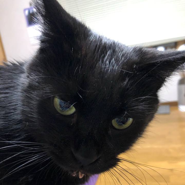 B4b701fe 969c 44f2 b3e7 2b76b255a50f 1609072150576