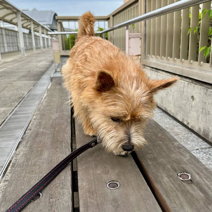 B4b70df4 f51a 4aa8 9c38 fc1a19a86455 1717990966411