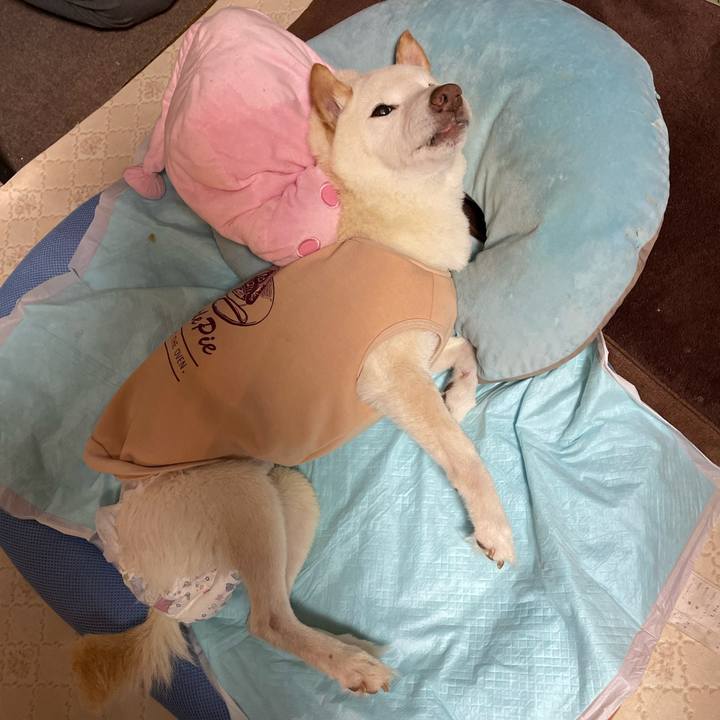 B4b71a84 1ae6 474f 9a42 433389a8e78f 1668940720654