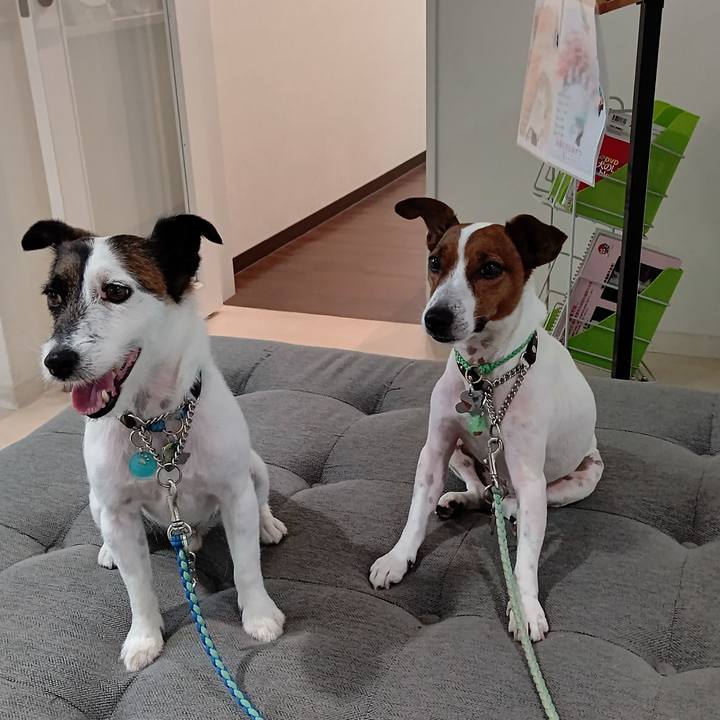 B4b71b86 6a47 4e6f a359 389158ebd104 1656757624890