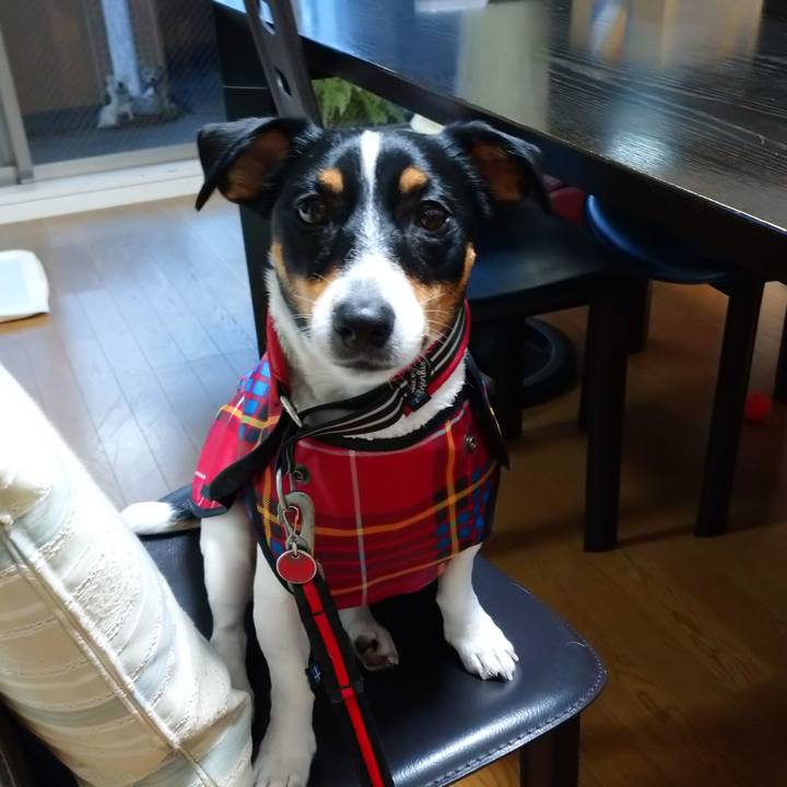 B4b733a7 d98c 45fd 81e0 6d8319d9d588 1611484900727