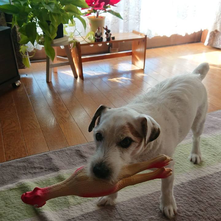 B4b74708 d0db 4d2f 96ed 641b6f1546e6 1545348951574