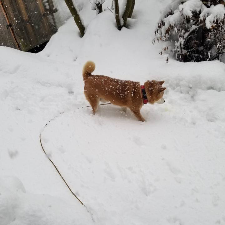 B4b74df3 a887 4080 a41b dcd81192567e 1738624776763