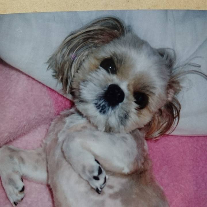 B4b75d52 0042 4767 bc4b a895942c51f5 1543639780055