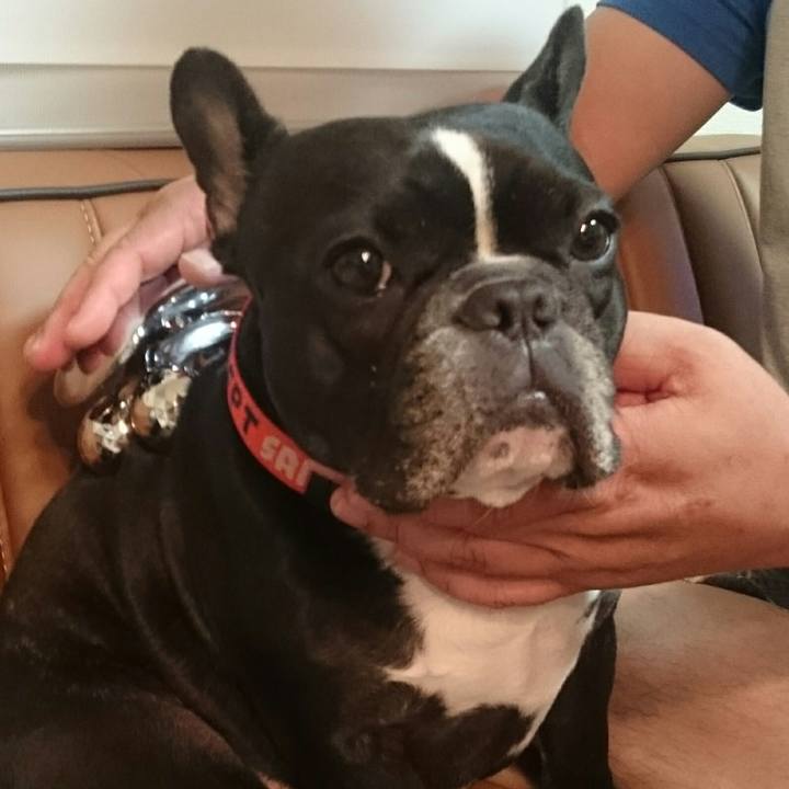 B4b79210 b08f 473e a461 405b690b3bbd 1507973218701