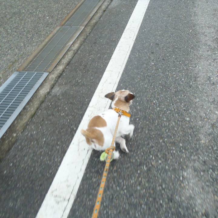 B4b79801 bf81 45d8 bdbb d73f4320dcb5 1547267666991