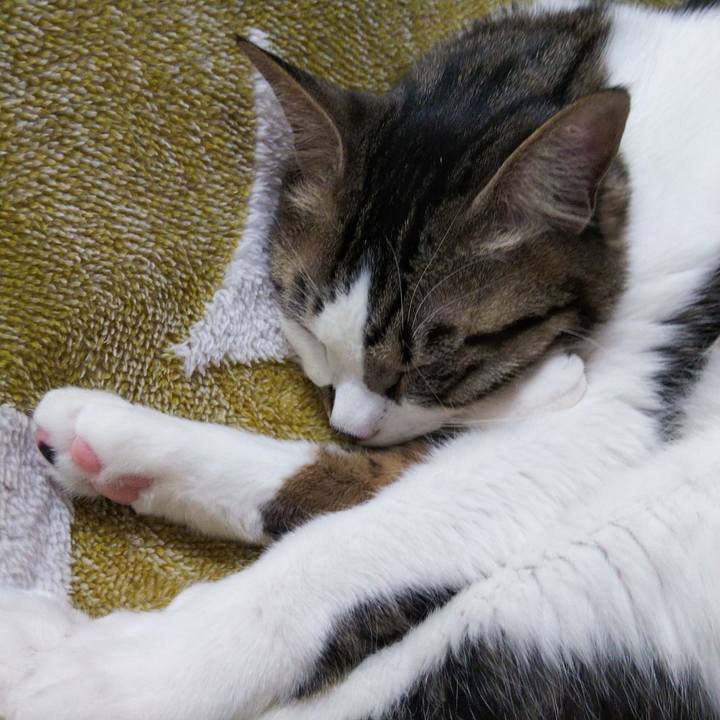 B4b7a5dd 0ca4 4033 9c24 ea25b7098534 1645958747042