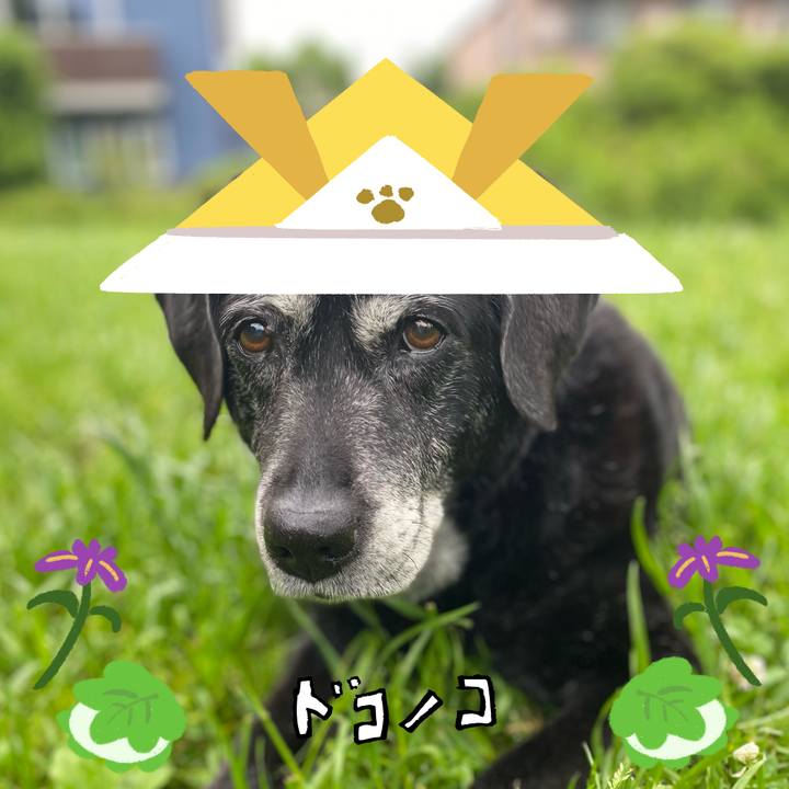 B4b7b855 2733 45a8 baa7 638aa2fdac6b 1715086109850