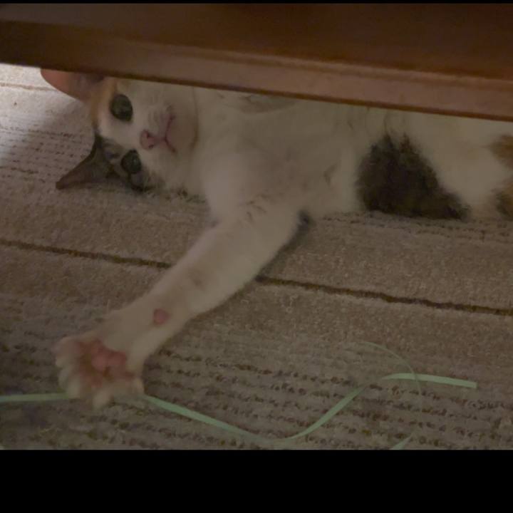 B4b7e1e3 100e 4ebf 9d45 f4b45afb3768 1695035437299