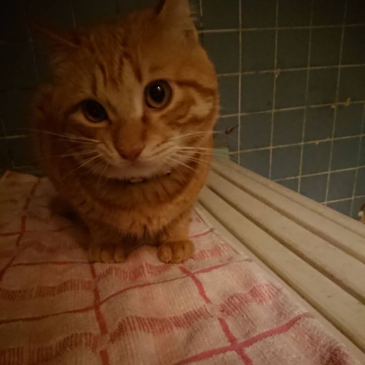 B4b7e535 9448 483b 812f ef8ef2243193 1645870686636