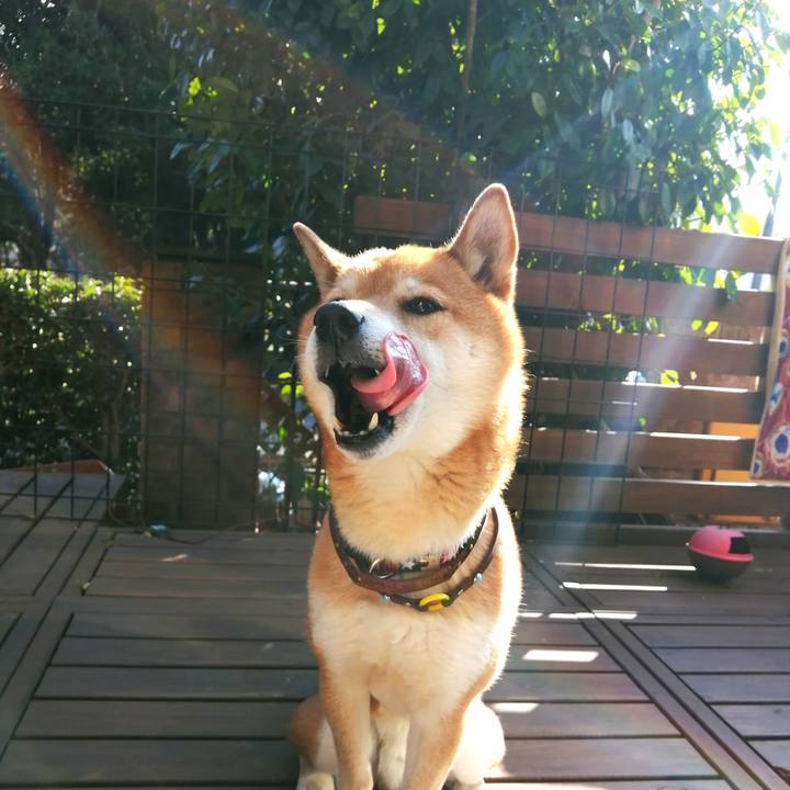 B4b8385d 2c92 4801 bf5a a9169562f5c4 1644301120037