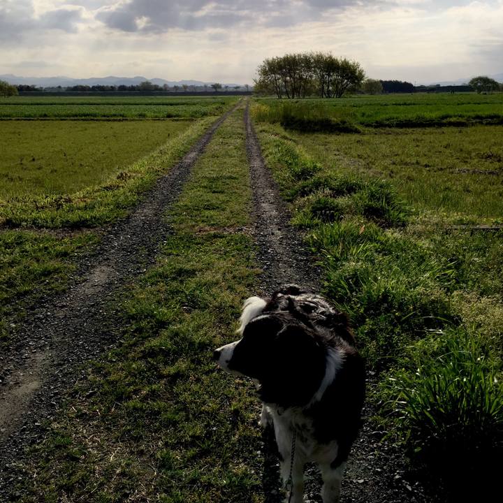 B4b8b15a 1a7c 4032 a9eb 9904ed392a6c 1523141520690